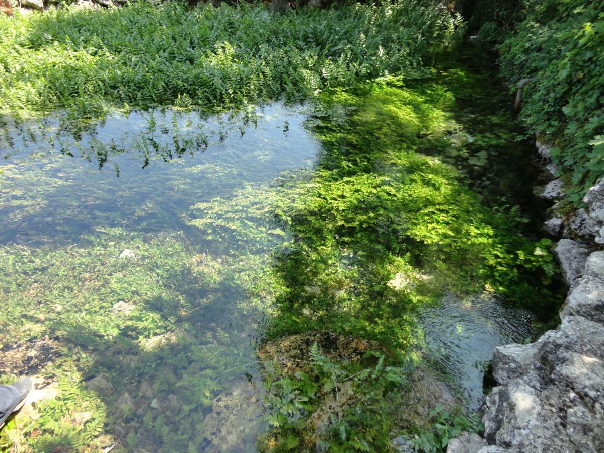 فيلا Water Spring Hrvace المظهر الخارجي الصورة